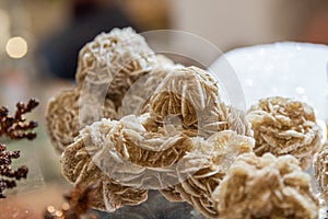 rose-like formation of crystal clusters of gypsum. desert rose.