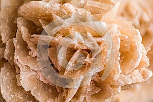 Rose-like formations of crystal clusters of gypsum photo