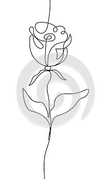 Rose in line, continuous style. Beautiful delicate garden flower symbol, logo