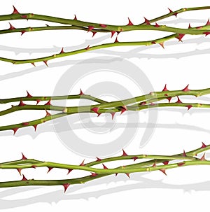 Rose lines with shadows