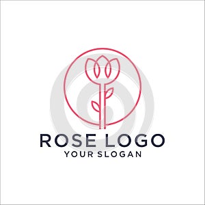 Rose logo design with a line style