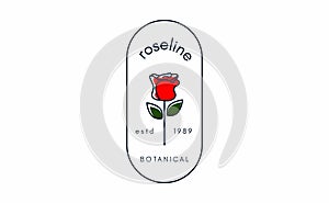 Rose Logos For Spa, Boutiques, Salons, And Botanical Logos. Design Inspiration With The Concept Of A Rose. Vector Illustration