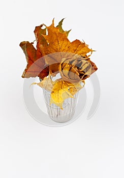 A rose made of maple yellow leaves on a white