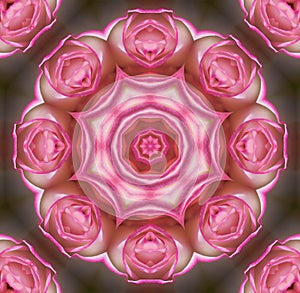 Rose mandala