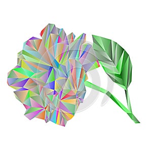 Rose multicolored blossoms stem with leaves polygons vector illustration abstract editable hand draw