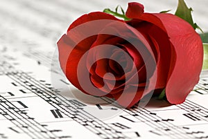 Rose Music 2 img