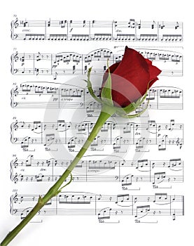 Rose and Music