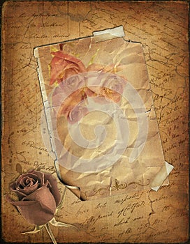 Rose and old paper with the hand-written text