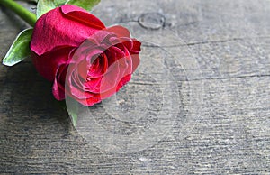 Rose on old wooden background for Valentine`s Day with copy space.Valentine rose.