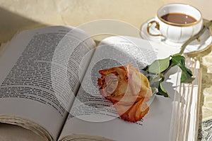 Rose with orange petals on an open book and a cup of coffee