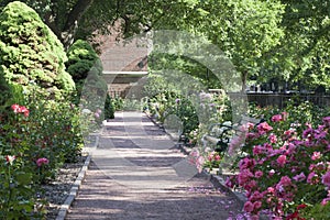 Rose Path at Merrick Rose Garden