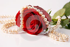 Rose & pearls photo