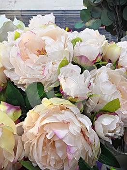 Rose peony Misty Bubbles. Bouquet flowers of pink roses in glass vase on dark grey rustic wooden background.