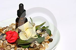 Rose Petal Aromatherapy