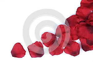 Rose petal border