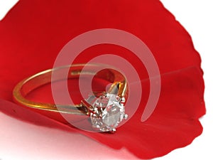 Rose petal and diamond ring