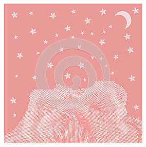 Rose petal flower shell on pink background