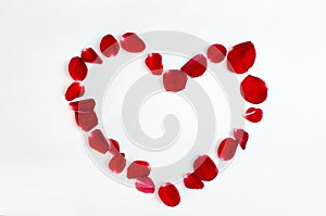 Rose petal isolate on a white background Red design heart