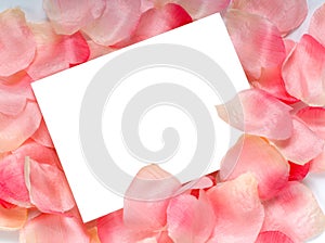 Rose Petal Notecard