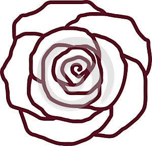 Rose petal outline photo