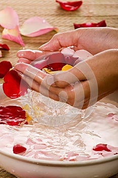 ROSE PETAL SPA