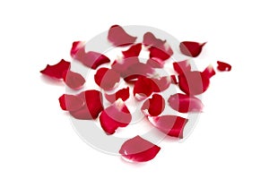 Rose petals