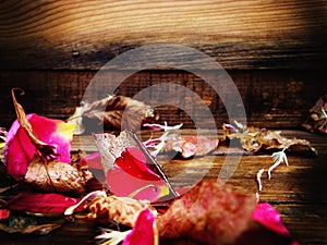 Rose petals. Autumn leaves. Autumn composition. On a wooden texture.