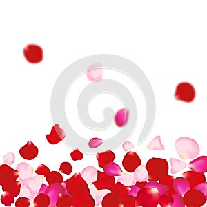 Rose petals background. For presentations, invitation ad print. Wedding valentine love concept