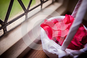 Rose Petals in Basket