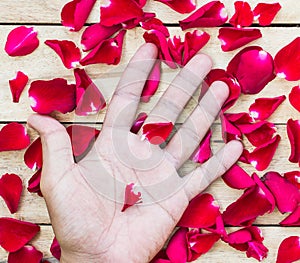 Rose Petals Border and hand on a wooden