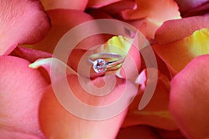 Rose petals and diamond ring