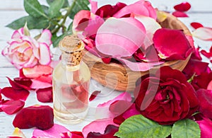 Rose petals and essential oil. Spa aromatherapy