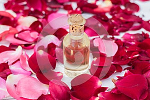 Rose petals and essential oil. Spa aromatherapy