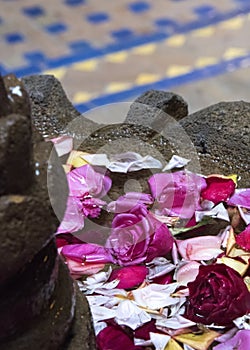 Rose petals & flowers float in a fountain basi