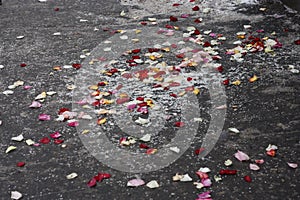 Rose petals on a grey surface