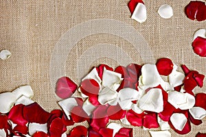 Rose Petals on Linen