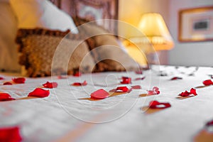 Rose petals over the bed