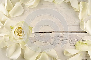 Rose and petals over wooden background.