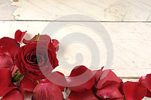 Rose and petals over wooden background.