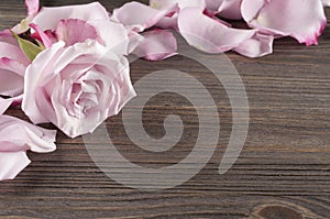 Rose and petals over wooden background.