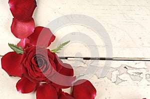 Rose and petals over wooden background.