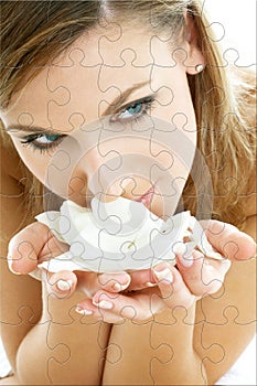 Rose petals puzzle