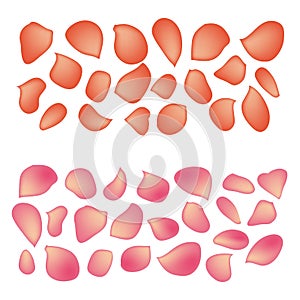 Rose petals, set of isolated pink and orange petals, on a white background, gradient mesh.