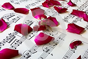 Rose petals on sheet music