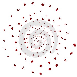 Rose petals swirl in a circle like a tornado