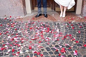 Rose Petals on Wedding Ceremony