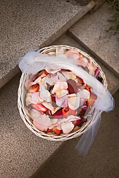 Rose petals on a wedding day