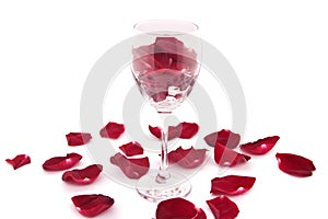 Rose petals, wine glass isolated on a white background.