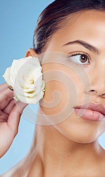 Rose, petals and woman in studio for skincare, wellness and petal cosmetic on blue background. Face, flower and girl