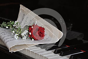 Rose on the piano